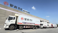 从到紫燕食物的国际化实践：让世界品尝中式卤